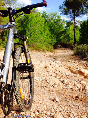 Foto de Archivo: Claudine Bernardes Lugar: Desierto de las Palmas - Castellón