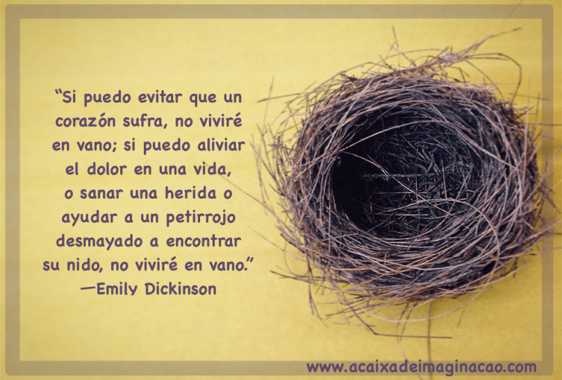 frase caja de imaginación