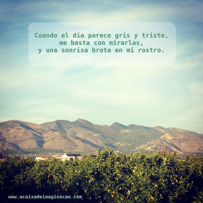 la caja de imaginacion día gris y triste montaña