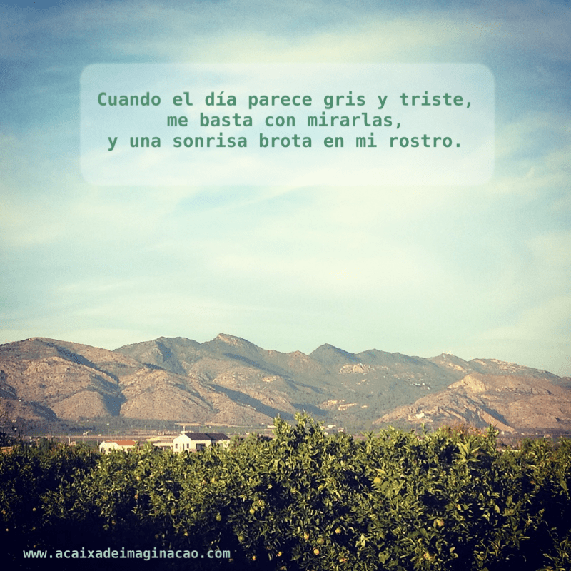 la caja de imaginacion día gris y triste montaña