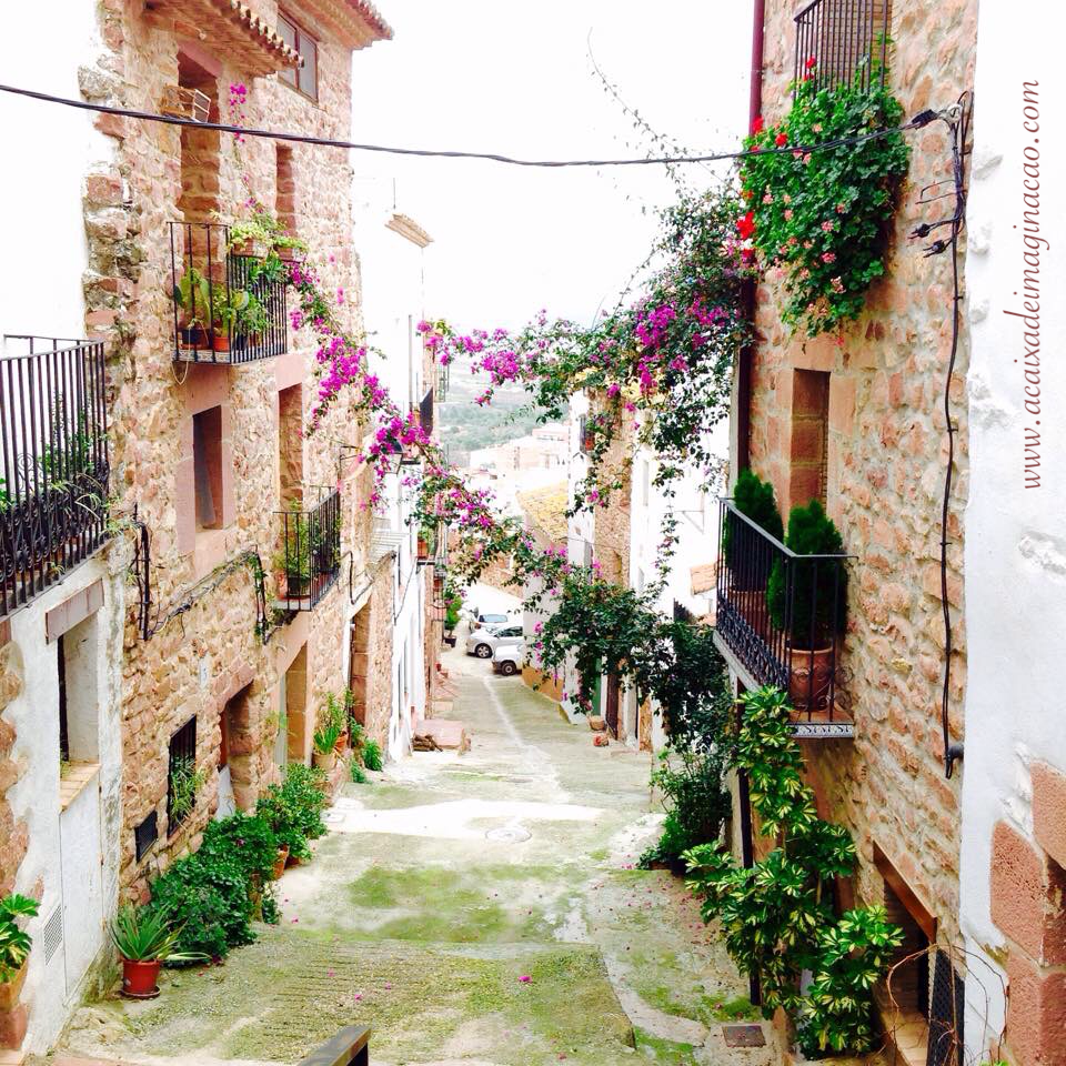 calle con flores la caja de imaginación